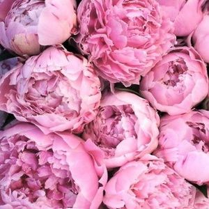 Meet your Posher, Lynn